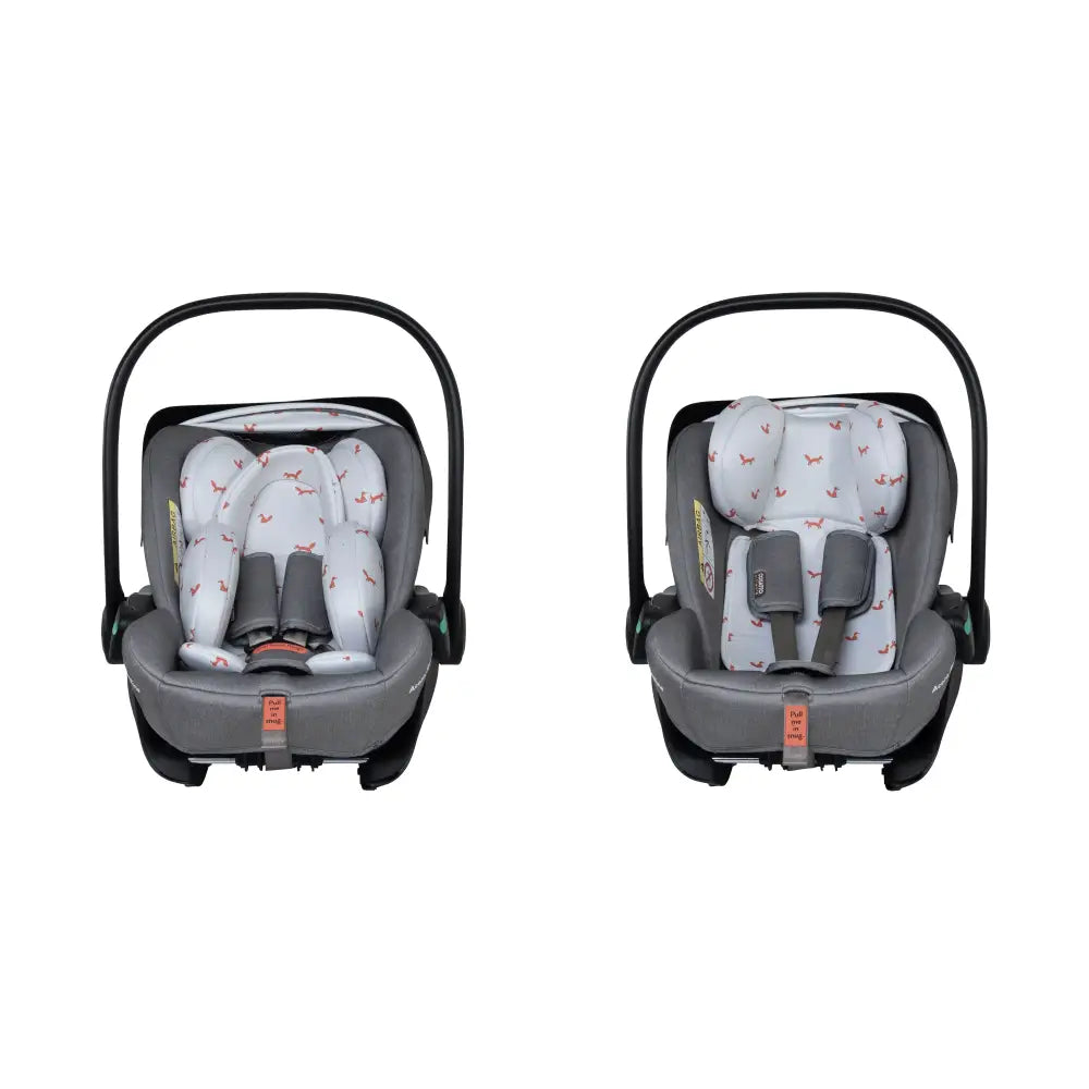 Cosatto Acorn Recline i-Size 0+ Car Seat – Foxling | Reclining Infant Seat from Birth (40–87cm)