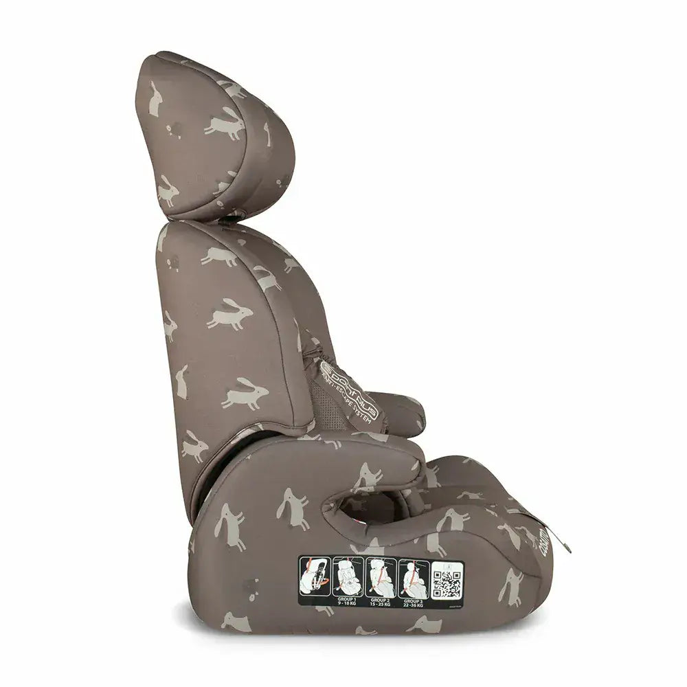Cosatto Zoomi 123 Car seat - Lollop General Cosatto