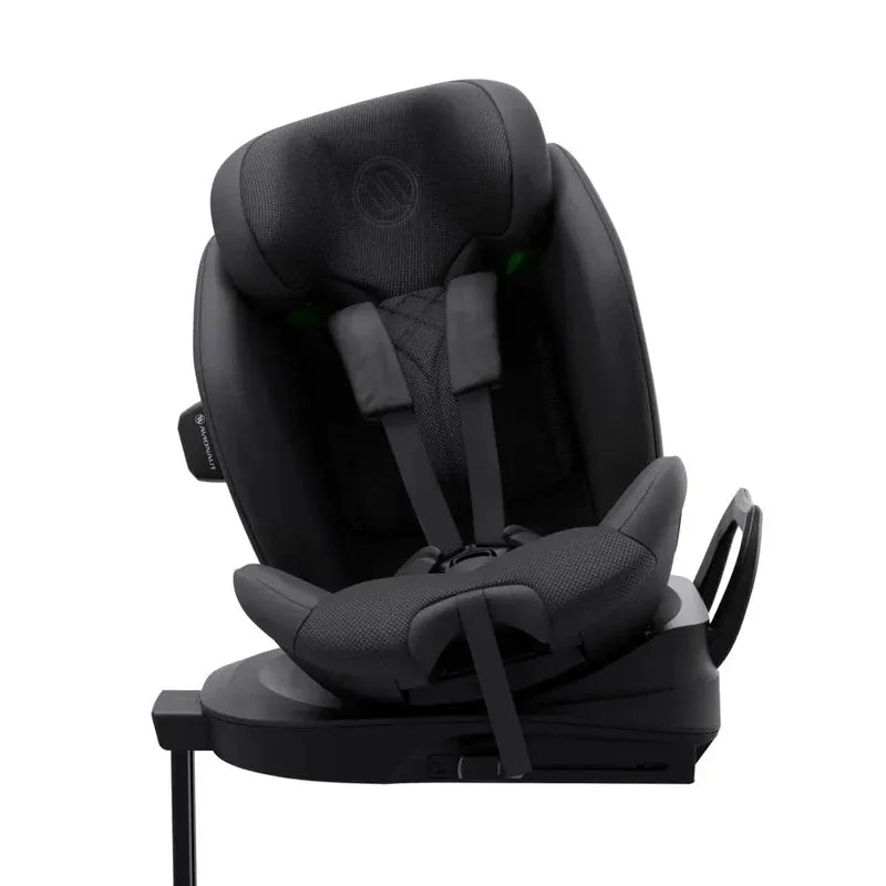 Avionaut Stardust Swedish Plus Tested vs Standard Avionaut Stardust — Which Is Right For Your Family?