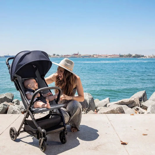 The Ultimate Guide to the Best Holiday Strollers in 2026