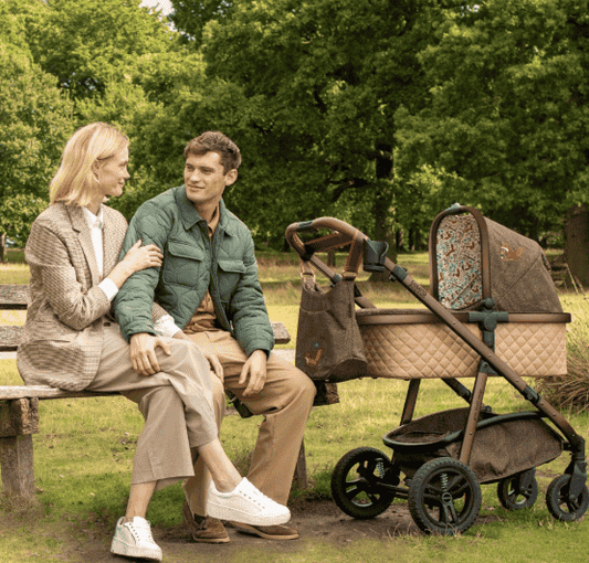 2 in 1 Travel Systems