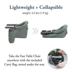 Inglesina Fast Highchair - Pine Green
