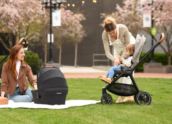 Black nuna stroller with a sleek, modern design and soft gray canopy.