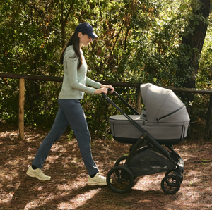Inglesina Aptica XT Duo Travel System - Magnet Grey