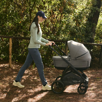 Inglesina Aptica XT Duo Travel System - Magnet Grey