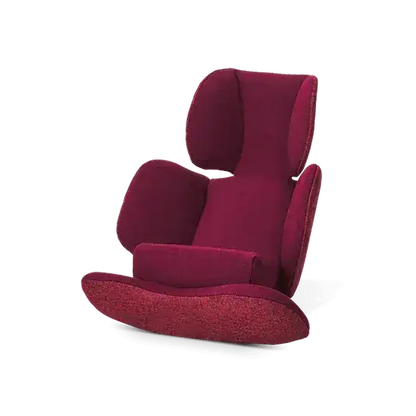 Avionaut Aerofix Newborn Insert (40-60cm) - Red Avionaut