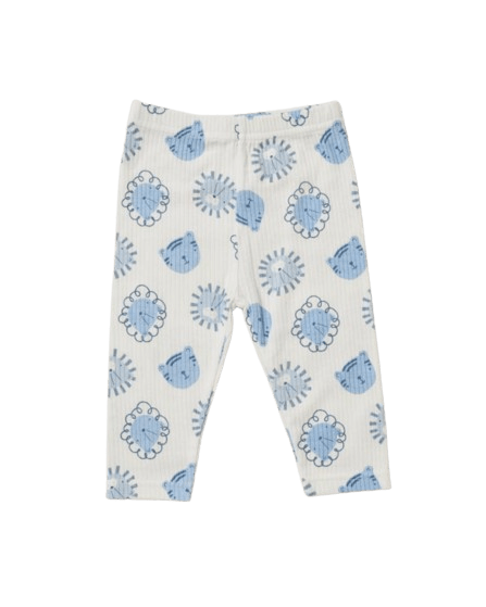 Baby Boys Sage Blue 10pc Lion Ribbed Set  Lily & Jack   