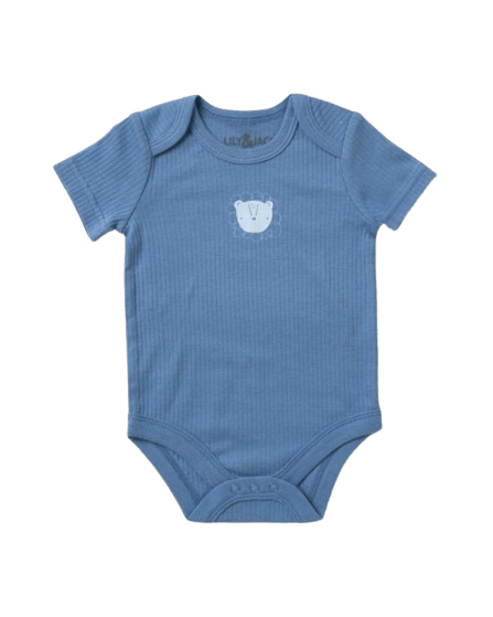 Baby Boys Sage Blue 10pc Lion Ribbed Set  Lily & Jack   