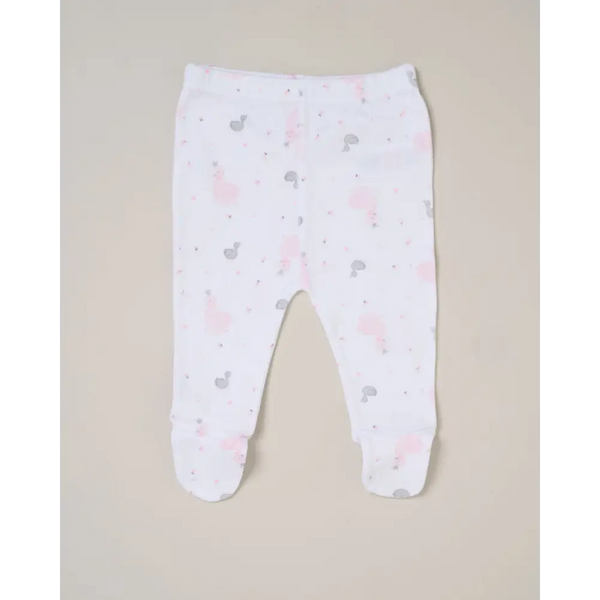 Baby Girls Swan Memory Book 6 Gift Set