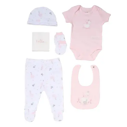 Baby Girls Swan Memory Book 6 Gift Set