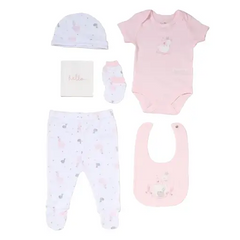 Baby Girls Swan Memory Book 6 Gift Set