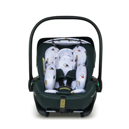 Cosatto Acorn Recline i-Size 0+ Car Seat – Bureau | Reclining Infant Seat from Birth (40–87cm)