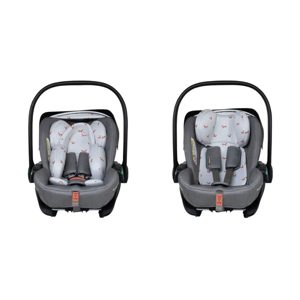Cosatto Acorn Recline i-Size 0+ Car Seat – Foxling | Reclining Infant Seat from Birth (40–87cm)