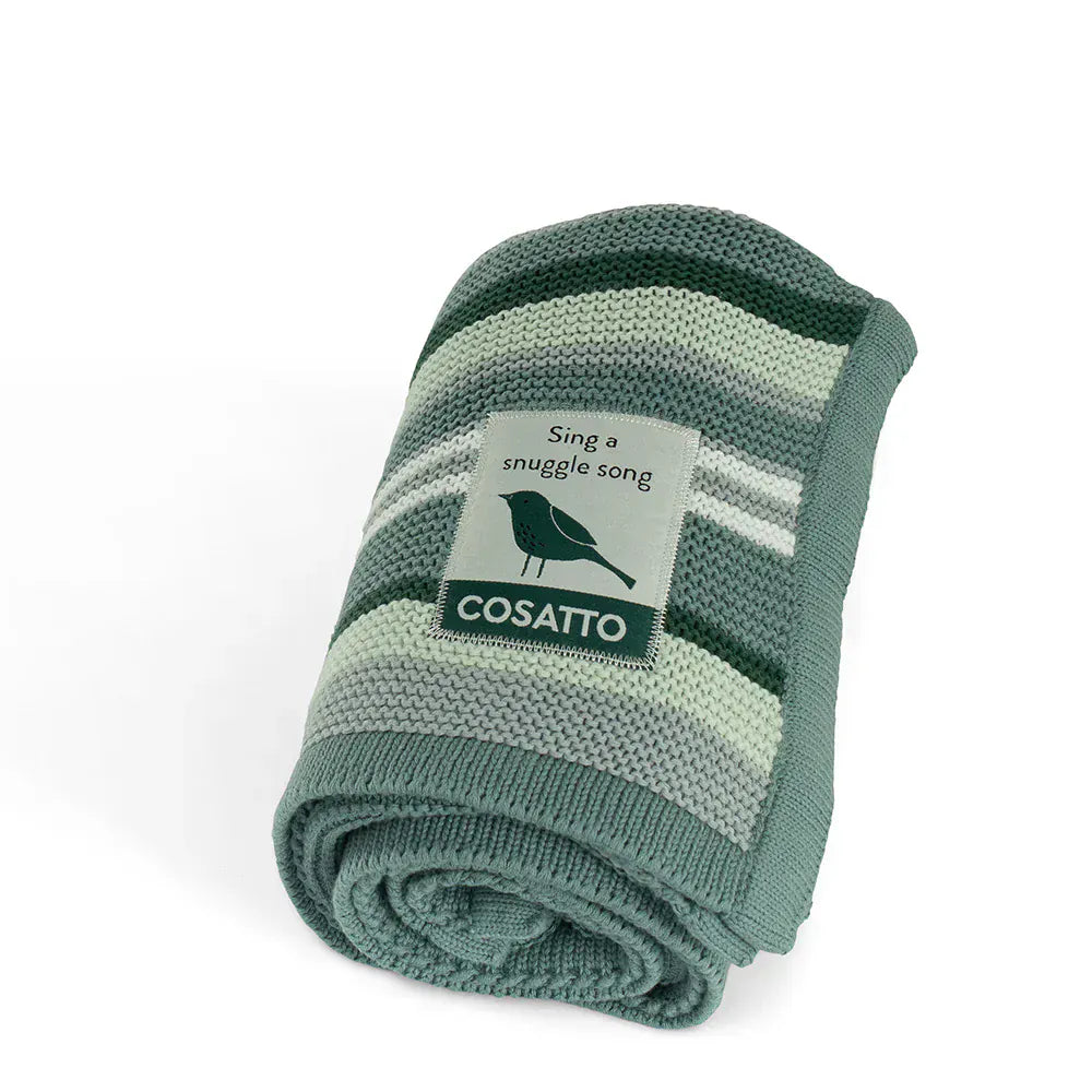 Cosatto Wow 3 Special Edition Accessory Bundle – Wildwood Cosatto