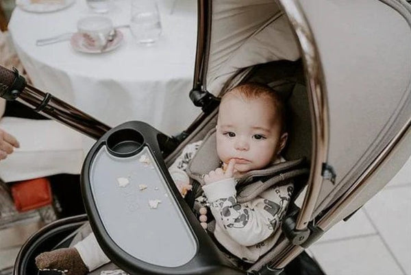 Egg Stroller Snack Tray Egg