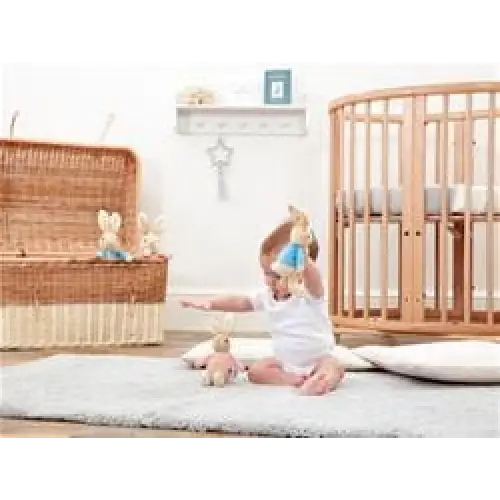 Flopsy Bunny Rattle General Peter Rabbit