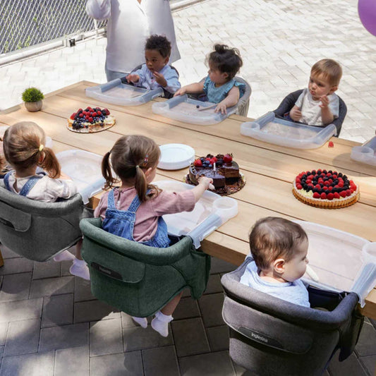Inglesina Fast Highchair - Stone Grey